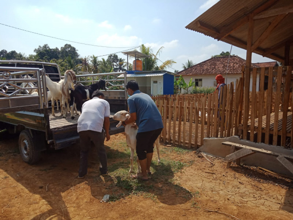 BAZNAS Lampung Tengah Kembangkan Konsep Hotel Ternak