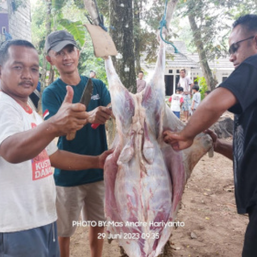 Padukuhan Pucanganom dan Jasmin Yogyakarta Gelar Penyembelihan Kurban