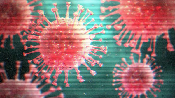 VIRUS CORONA BUKAN VIRUS DENGUE