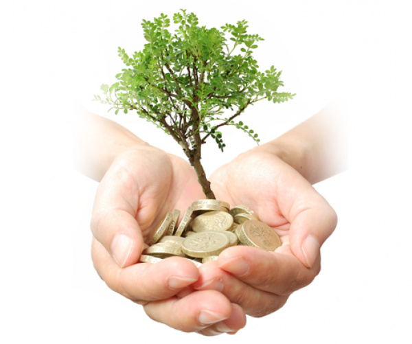 Majelis Tarjih Siapkan Rumusan Fikih Wakaf Baru