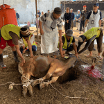 53 Ekor Hewan Qurban Disembelih di Masjid Al Itisham Budi Agung Bogor