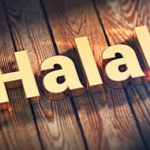 Halal Harus Komprehensif dari Hulu hingga Hilir