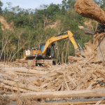 Tumpukan Kayu di Lubuk Sidup Aceh Tamiang Mulai Dibersihkan*