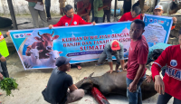 Giliran 280 Keluarga di Jorong Kubu Agam Terima Sapi Kurban Arm HA-IPBb