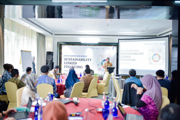 AFSI dan UNDP Gali Potensi Pengembangan Instrumen SLF di Indonesia