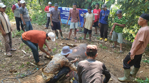 ARM HA-IPB Salurkan 245 Paket Kurban untuk Kampung Cipendawa, Sukajaya