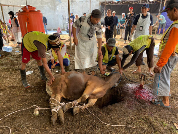53 Ekor Hewan Qurban Disembelih di Masjid Al Itisham Budi Agung Bogor