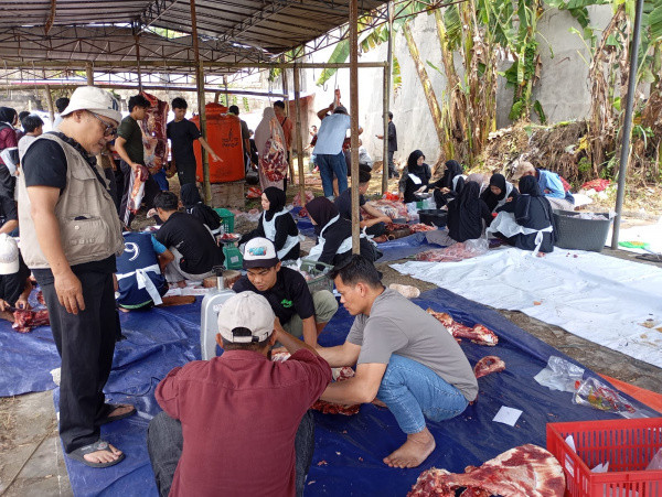 11 Sapi dan 30 Kambing Disalurkan  Daging  Qurban di Masjid Al I’tisham 2026  Berlangsung Lancar