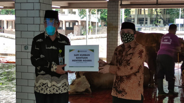 Serahkan Hewan Kurban, Kemenag Berharap Tumbuhkan Kesetiakawanan Sosial