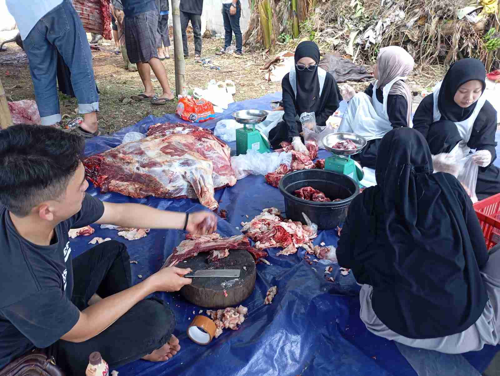 Sisipkan gambar ...