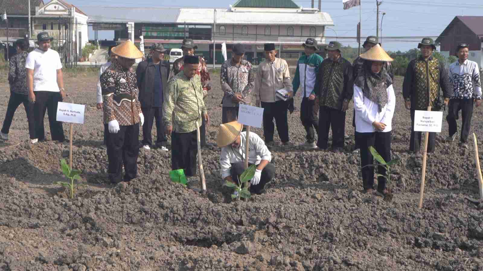 Sisipkan gambar ...