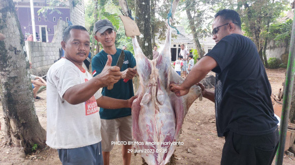 Padukuhan Pucanganom dan Jasmin Yogyakarta Gelar Penyembelihan Kurban