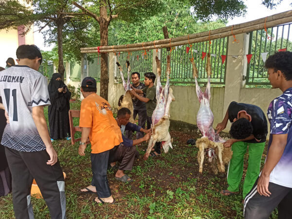 Pemotongan dan Penyaluran Hewan Qurban di Masjid Al Itisham Budi Agung Bogor Sebanyak 53 Ekor*