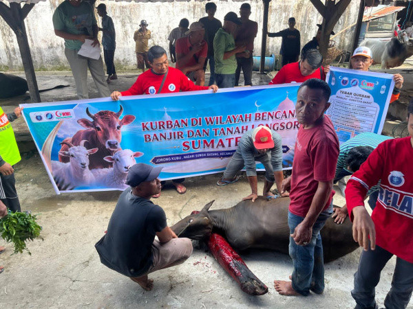 Giliran 280 Keluarga di Jorong Kubu Agam Terima Sapi Kurban Arm HA-IPBb